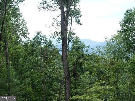 LOT 31 Blandemar Dr, Samuel Miller, VA 22903 - photo 1