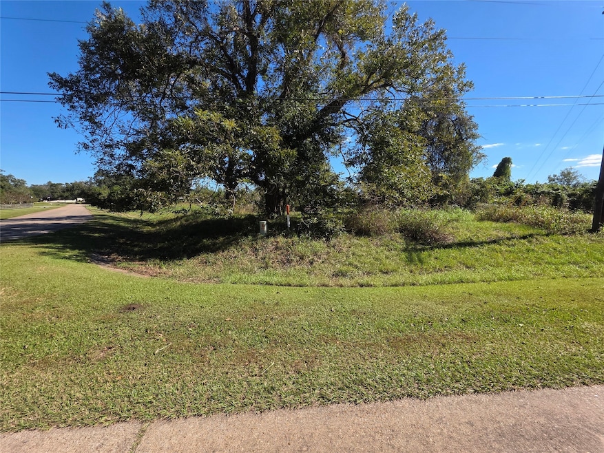 0 Wagon Wheel Trail unit 20641134, Angleton, TX 77515 - photo 1