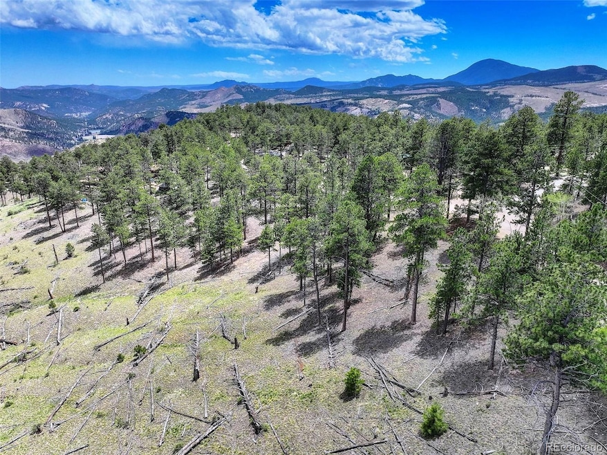 54 Holmes Gulch Rd, Bailey, CO 80421 - photo 1