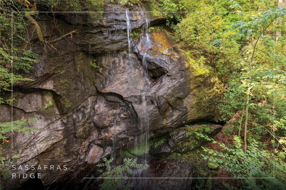 618 Nix Mountain Rd, Sapphire, NC 28774 - photo 1