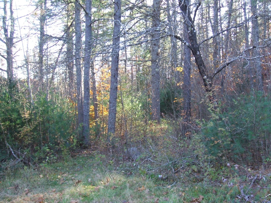 0 Federal Rd unit 1514191, Parsonsfield, ME 04020 - photo 1