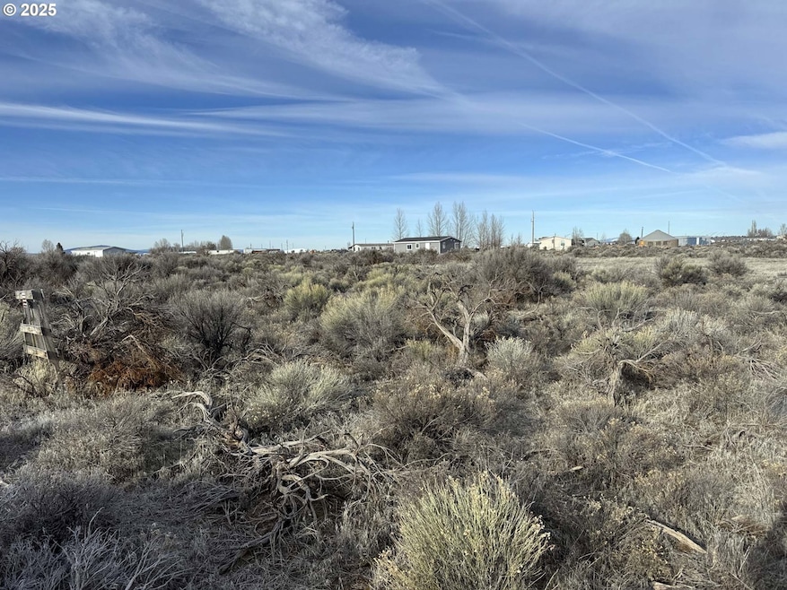 0 Elm Ln unit L5200 685282775, Christmas Valley, OR 97641 - photo 1