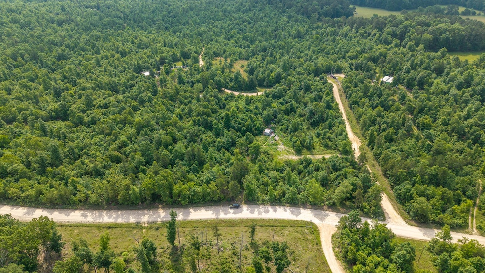 10916 Stella Way, Birch Tree, MO 65438 - photo 1