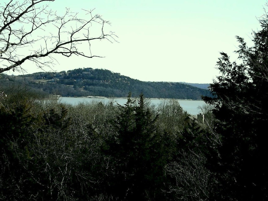 Lot 20 Overton Ct, Ruth B Rural Township, MO 65686 - photo 1