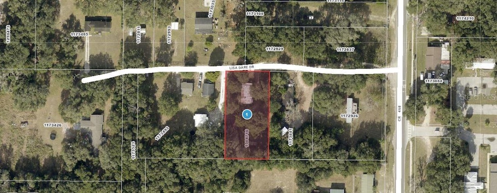 2144 Lisa Dare Dr, Leesburg, FL 34748 - photo 1