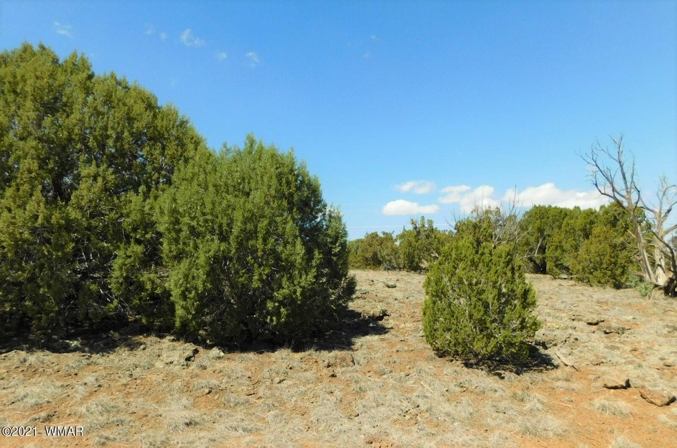 1854 Rainbow Cir Show Low, AZ 85901