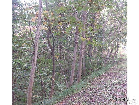 Trailridge access to lot