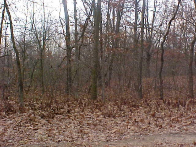 Schow Rd Photo 1