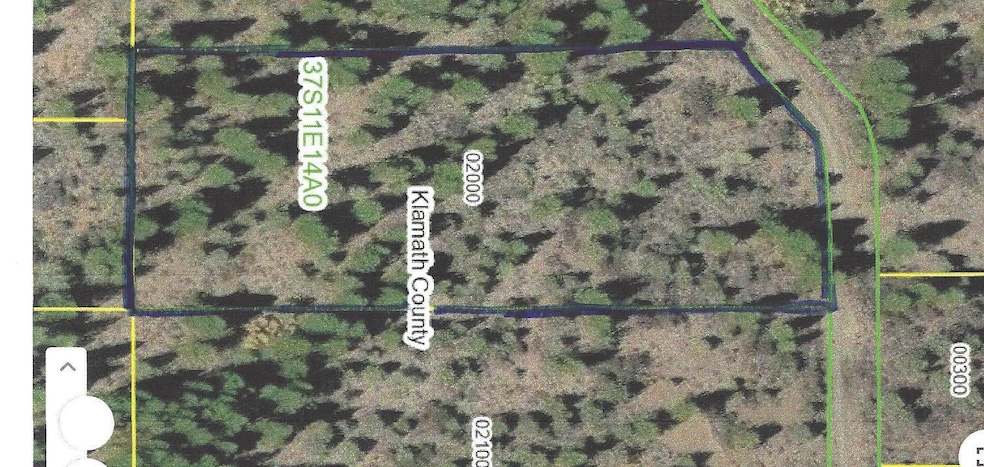 0 Polar Bear unit Lot 3, Bonanza, OR 97623 - photo 1