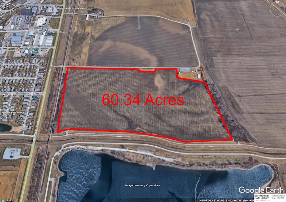 3545 Harlan Lewis Rd, Bellevue, NE 68005 - photo 1