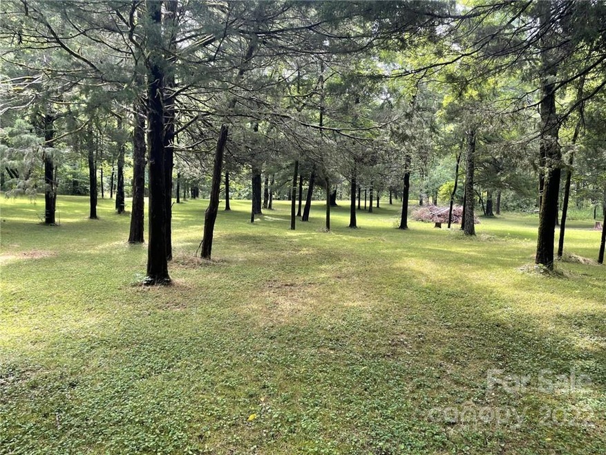 435 Misery Ridge Trail, Mill Spring, NC 28756 - photo 1