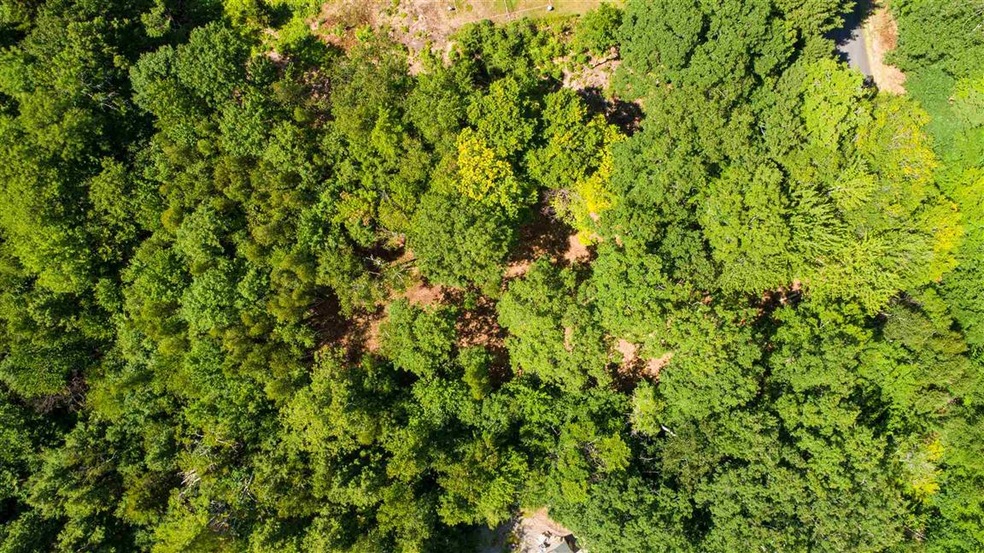 157 Banjo Dr unit 1, Thornton, NH 03285 - photo 1