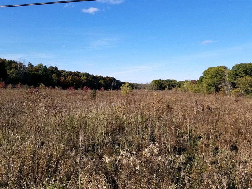 11700 W 129th Ave, Cedar Lake, IN 46303 - photo 1