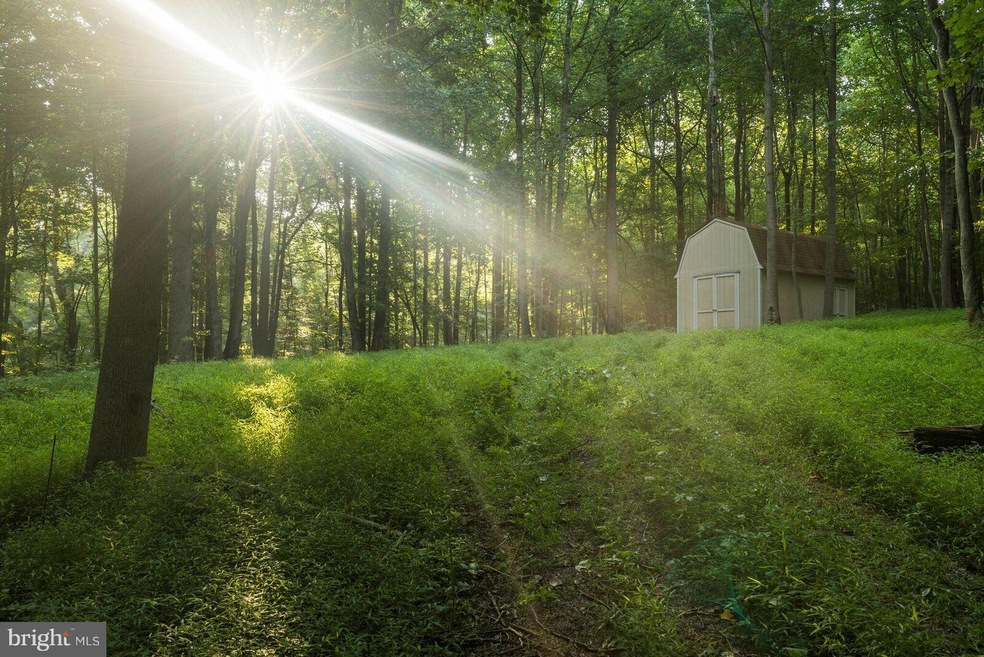 0 Pioneer Ln unit 1001901964, Boyce, VA 22620 - photo 1