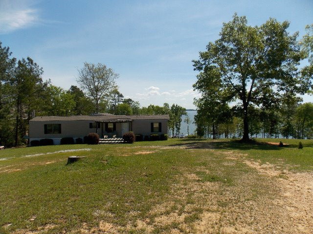 Main View