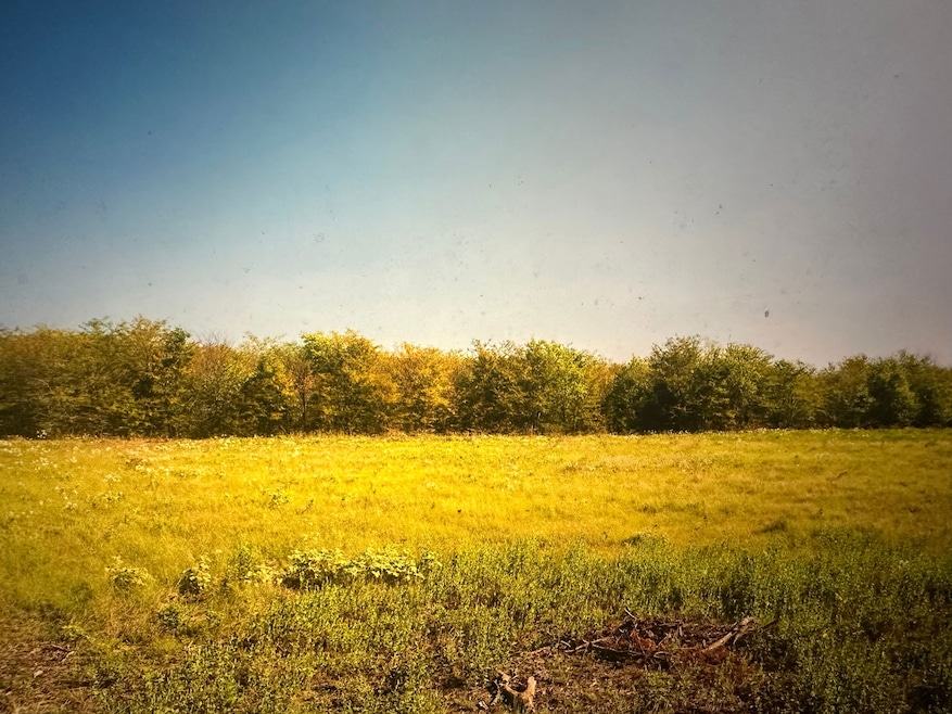 0 County Road 3660, Ladonia, TX 75449 - photo 1