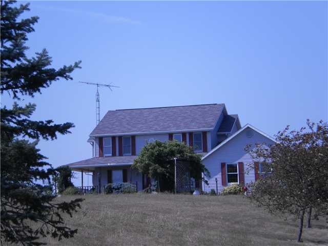 Primary Photo