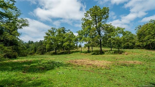 000 Turkey Creek Rd, Leicester, NC 28748 - photo 1