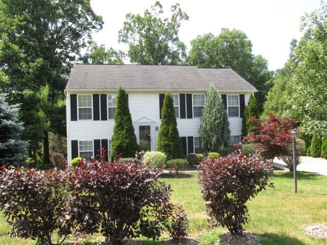Main View