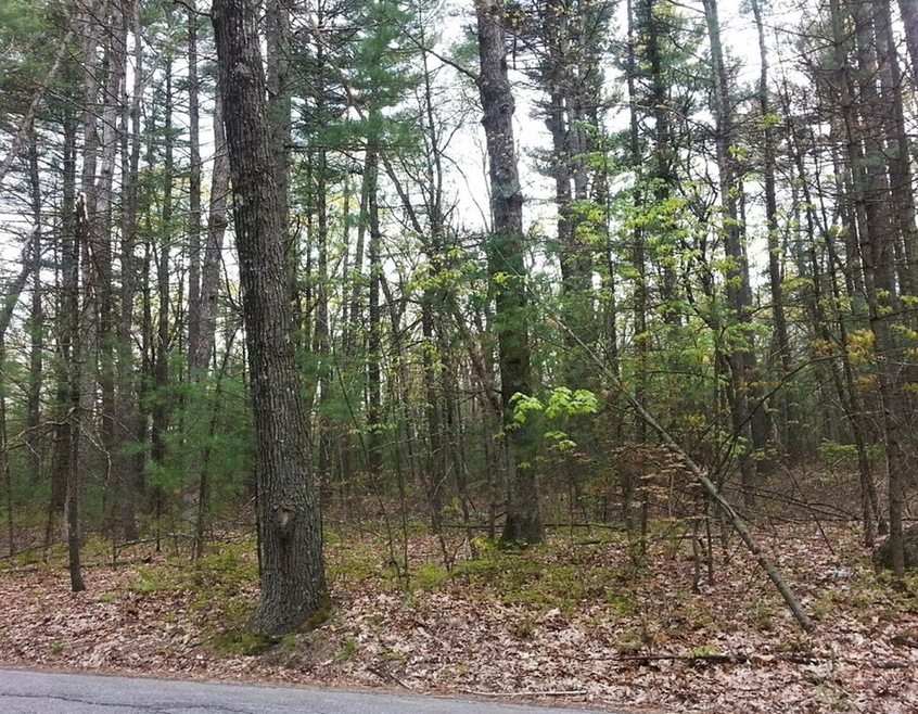 0 Rutland St, Carlisle, MA 01741 - photo 1