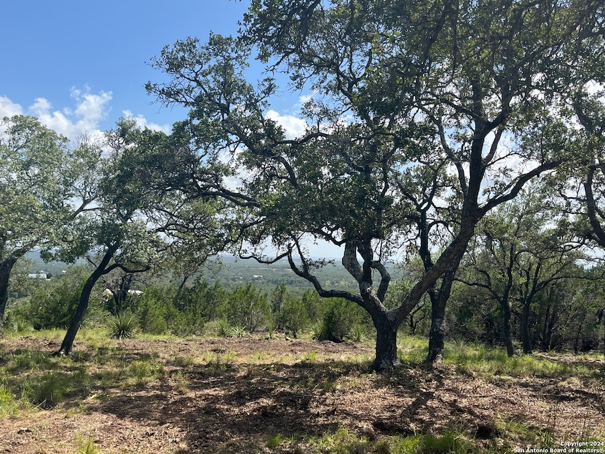 189 Cordillera Ridge, Boerne, TX 78006 - photo 1