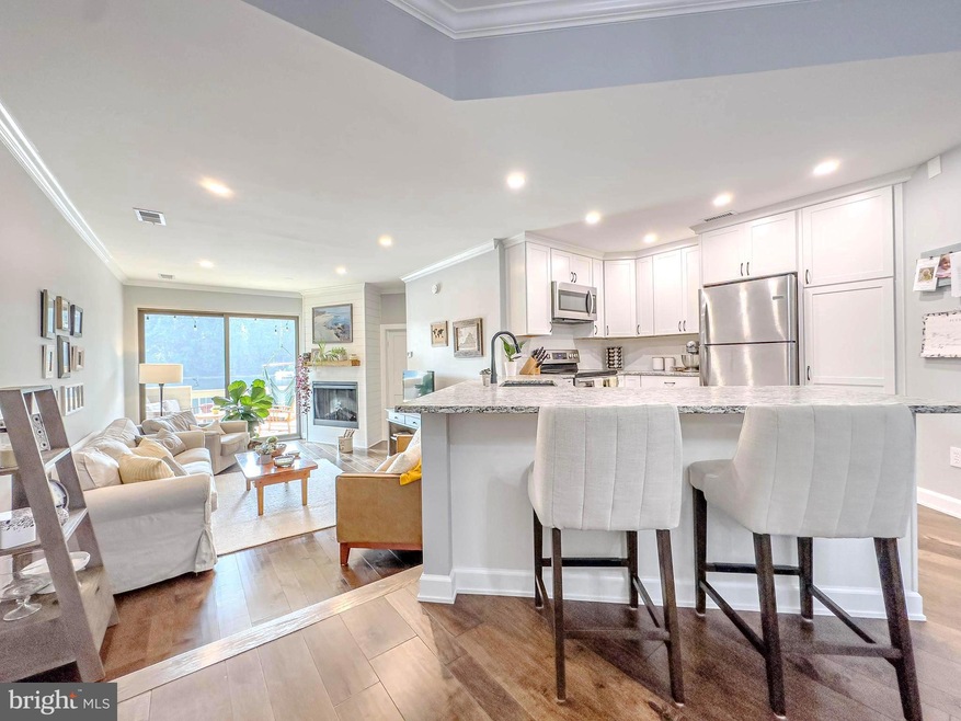 11250 Harbor Ct unit 1250, Reston, VA 20191 - photo 1