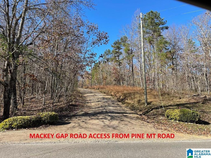 8924 Pine Mountain Rd, Pinson, AL 35126 - photo 1