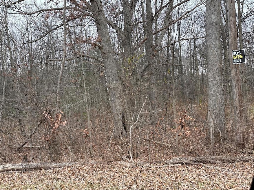 0 Lapeer Rd unit 20251055585, Clyde, MI 48049 - photo 1