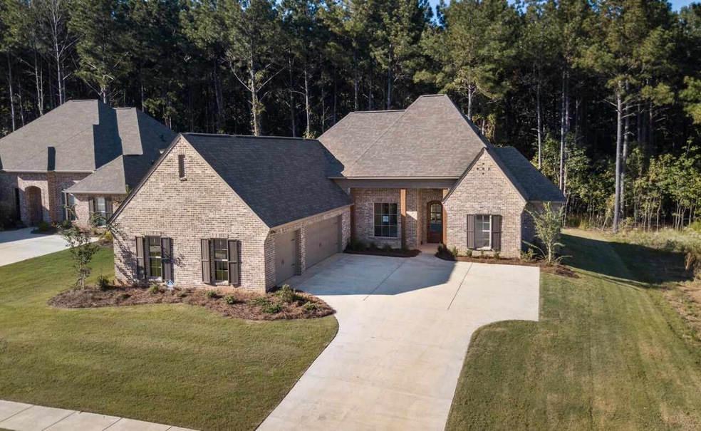 114 Brisco St, Madison, MS 39110 - photo 1