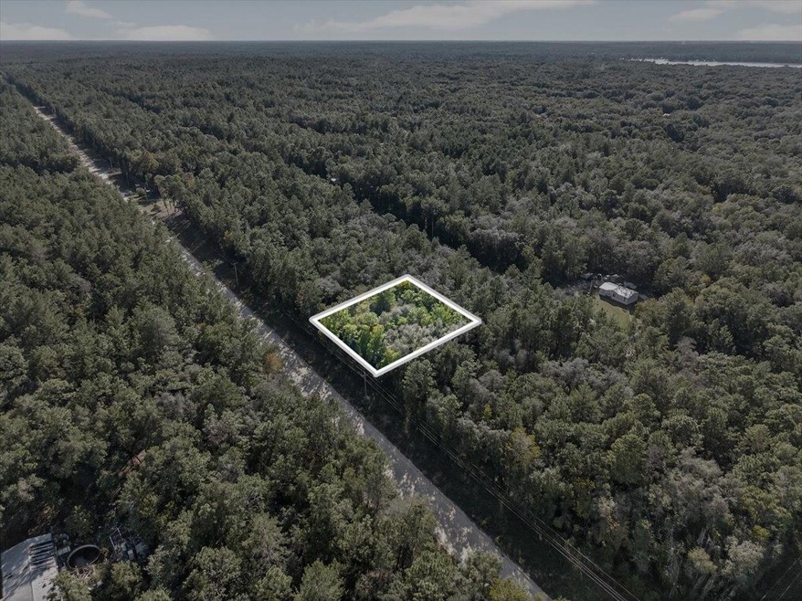 Aerial view of property's location featuring a heavily wooded area and property boundaries highlighted