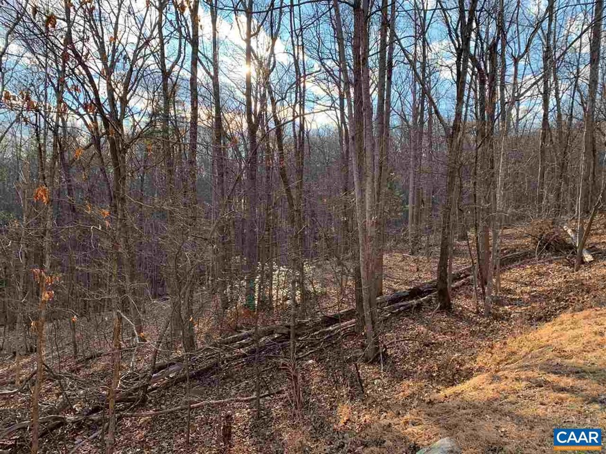 355 Crawfords Climb, Nellysford, VA 22958 - photo 1