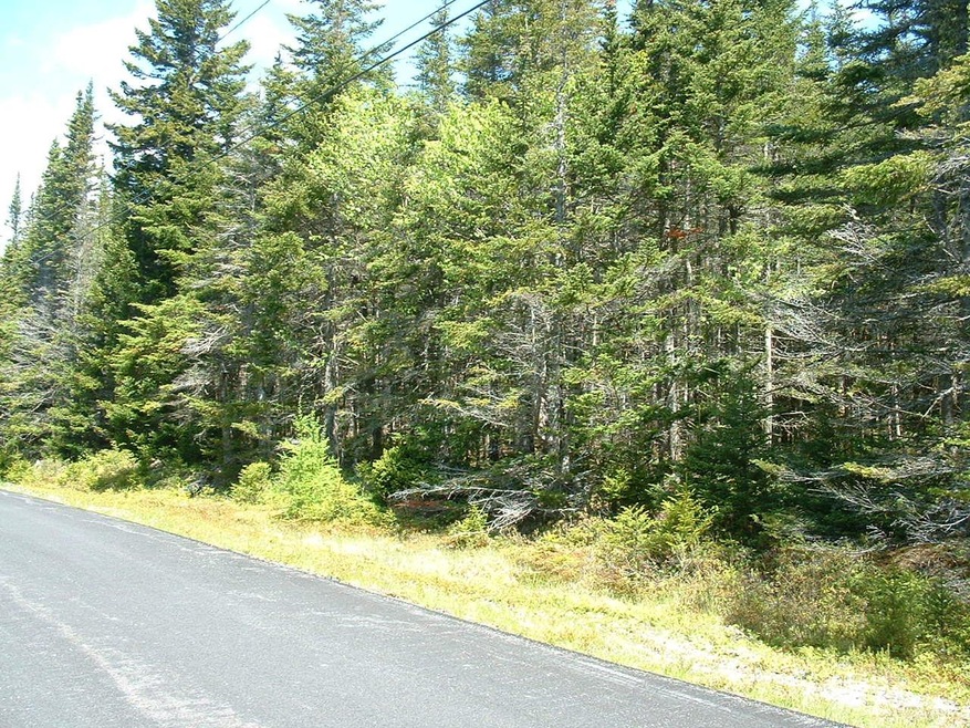Lot 39 Yoho Head Rd, MacHiasport, ME 04655 - photo 1