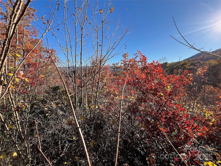 Lot 66 Musket Dr, Almond, NC 28713 - photo 1