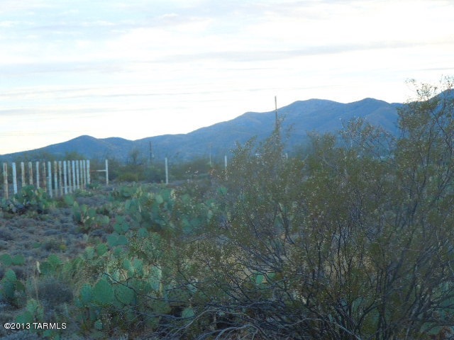 Mountain Views