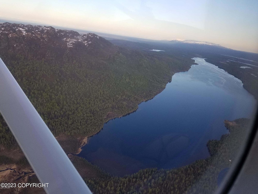 L49B No Rd, Skwentna, AK 99667 - photo 1