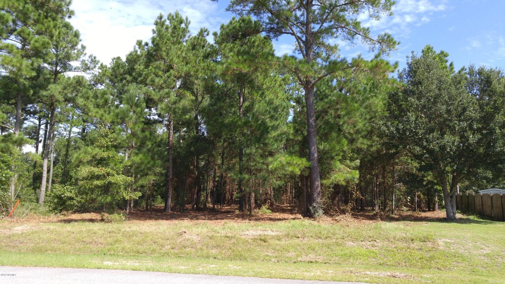 102 Calcos Ct, Stump Sound, NC 28445 - photo 1