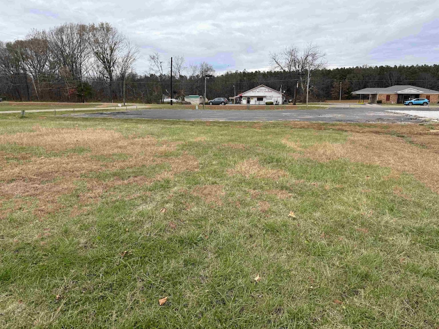 223 Tennessee 57, Grand Junction, TN 38039 - photo 1