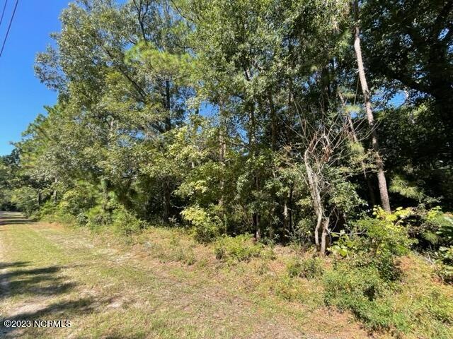 wooded lot