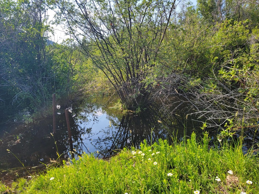 land