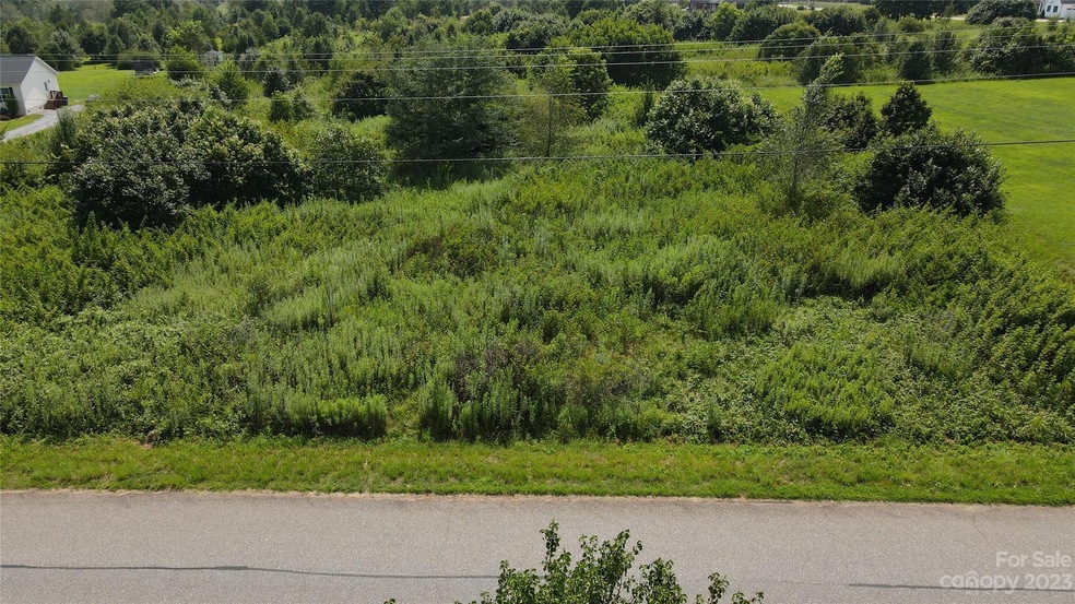 00 Crandell Dr unit 47, Crouse, NC 28033 - photo 1