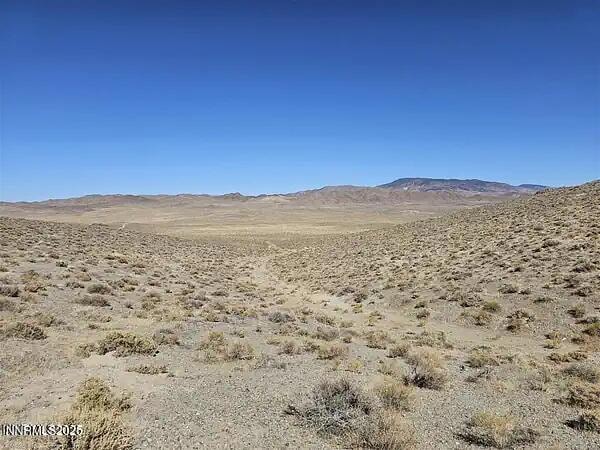 Parcel # 00920002 Whiskey Flat Mining District, Hawthorne, NV 89415 - photo 1