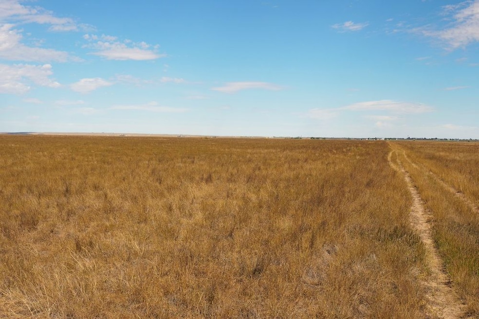 Tbd Cr 73 Lot unit WP001, Hereford, CO 80732 - photo 1