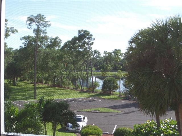 Lanai view