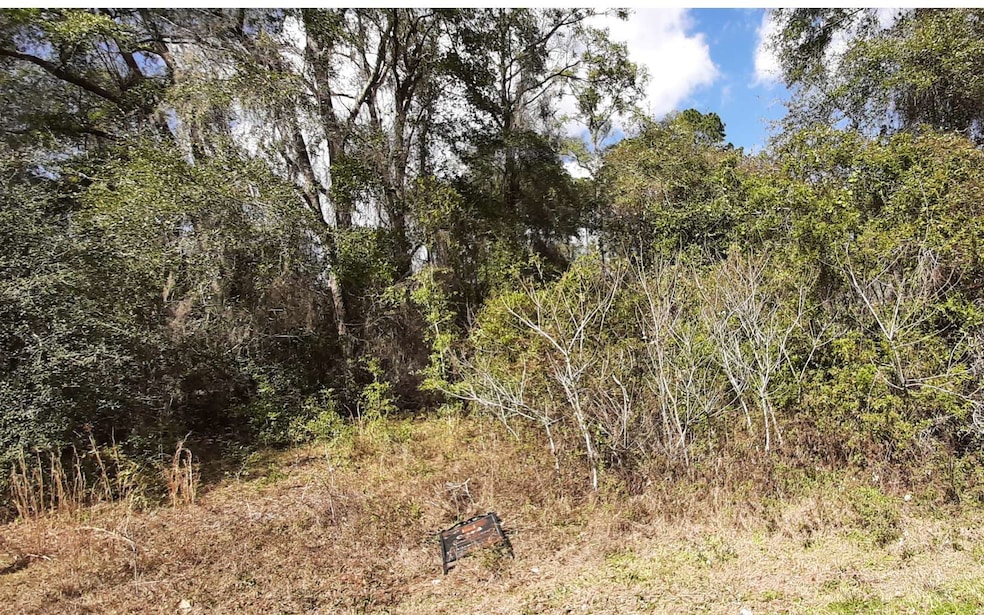 TBD Heritage Dr, Lake City, FL 32055 - photo 1
