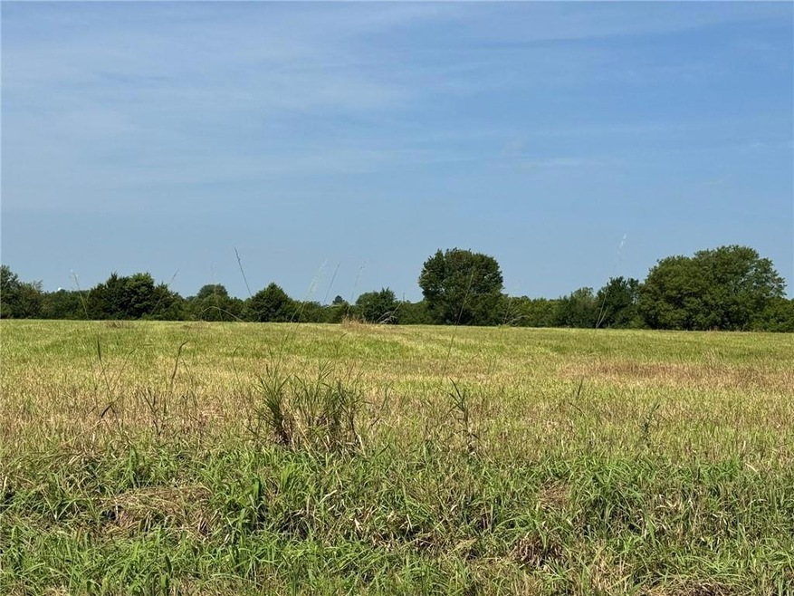 0 Lone Star Rd unit HMS2565805, Osawatomie, KS 66071 - photo 1