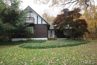 3 Pine Wood Rd, Hopewell Junction, NY 12533 - photo 1