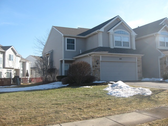 982 Mesa Dr, Lake In the Hills, IL 60156 - photo 1