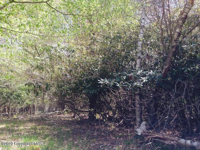 108 Rt 940 Wagner Forest, Pocono Lake, PA 18347 - photo 1