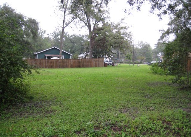 Main View