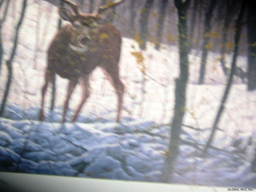 0 Lake Desolation Rd unit 201821397, Middle Grove, NY 12850 - photo 1